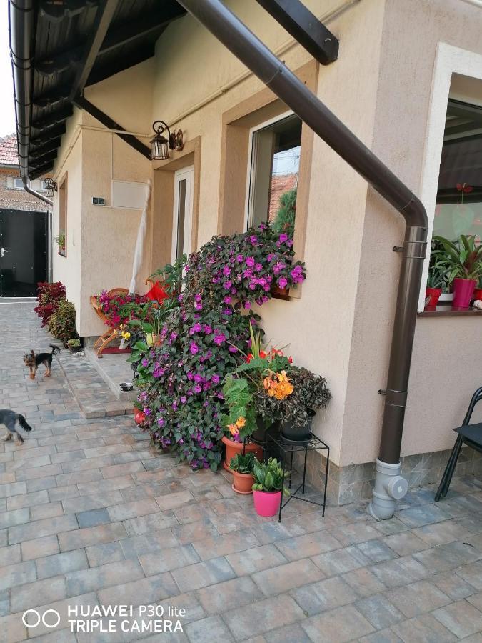 Rasnov Retreat Hotell Eksteriør bilde