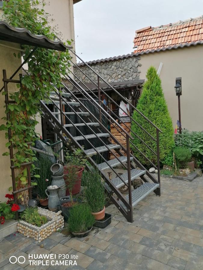 Rasnov Retreat Hotell Eksteriør bilde